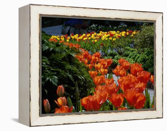 Sunken Garden, Butchart Gardens, Victoria, British Columbia, Canada-null-Framed Premier Image Canvas