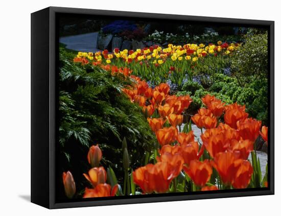 Sunken Garden, Butchart Gardens, Victoria, British Columbia, Canada-null-Framed Premier Image Canvas