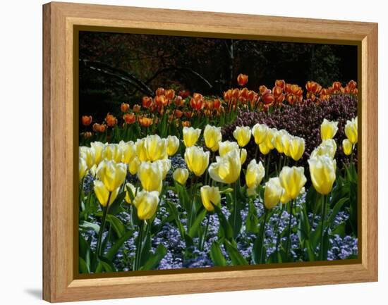 Sunken Garden, Butchart Gardens, Victoria, British Columbia, Canada-null-Framed Premier Image Canvas