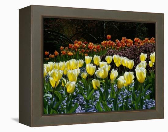 Sunken Garden, Butchart Gardens, Victoria, British Columbia, Canada-null-Framed Premier Image Canvas