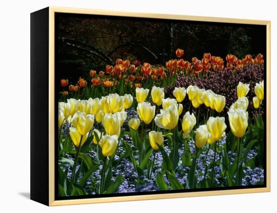 Sunken Garden, Butchart Gardens, Victoria, British Columbia, Canada-null-Framed Premier Image Canvas