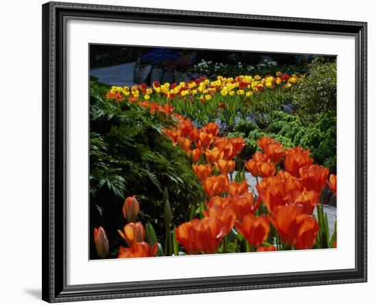 Sunken Garden, Butchart Gardens, Victoria, British Columbia, Canada-null-Framed Photographic Print