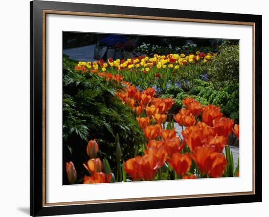 Sunken Garden, Butchart Gardens, Victoria, British Columbia, Canada-null-Framed Photographic Print