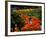 Sunken Garden, Butchart Gardens, Victoria, British Columbia, Canada-null-Framed Photographic Print