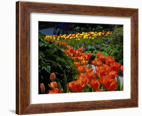 Sunken Garden, Butchart Gardens, Victoria, British Columbia, Canada-null-Framed Photographic Print