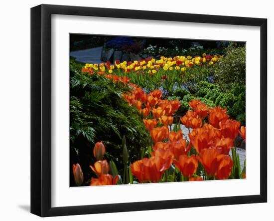 Sunken Garden, Butchart Gardens, Victoria, British Columbia, Canada-null-Framed Photographic Print