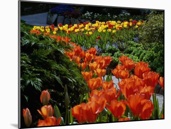 Sunken Garden, Butchart Gardens, Victoria, British Columbia, Canada-null-Mounted Photographic Print