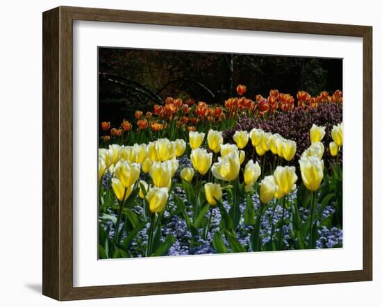 Sunken Garden, Butchart Gardens, Victoria, British Columbia, Canada-null-Framed Photographic Print