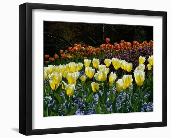 Sunken Garden, Butchart Gardens, Victoria, British Columbia, Canada-null-Framed Photographic Print