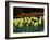 Sunken Garden, Butchart Gardens, Victoria, British Columbia, Canada-null-Framed Photographic Print