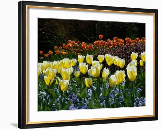 Sunken Garden, Butchart Gardens, Victoria, British Columbia, Canada-null-Framed Photographic Print