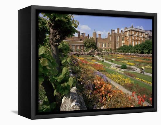 Sunken Gardens, Hampton Court Palace, Greater London, England, United Kingdom-Walter Rawlings-Framed Premier Image Canvas