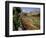 Sunken Gardens, Hampton Court Palace, Greater London, England, United Kingdom-Walter Rawlings-Framed Photographic Print