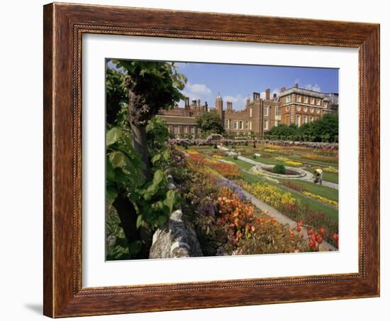 Sunken Gardens, Hampton Court Palace, Greater London, England, United Kingdom-Walter Rawlings-Framed Photographic Print