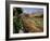 Sunken Gardens, Hampton Court Palace, Greater London, England, United Kingdom-Walter Rawlings-Framed Photographic Print