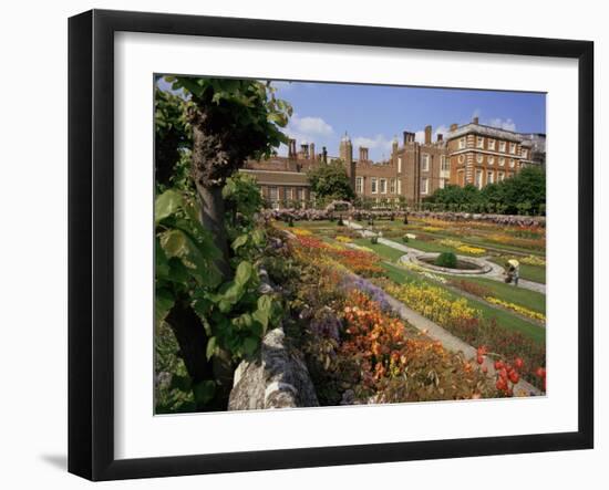 Sunken Gardens, Hampton Court Palace, Greater London, England, United Kingdom-Walter Rawlings-Framed Photographic Print