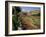 Sunken Gardens, Hampton Court Palace, Greater London, England, United Kingdom-Walter Rawlings-Framed Photographic Print