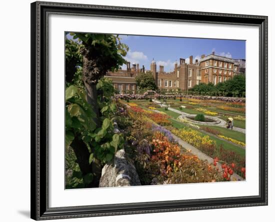 Sunken Gardens, Hampton Court Palace, Greater London, England, United Kingdom-Walter Rawlings-Framed Photographic Print