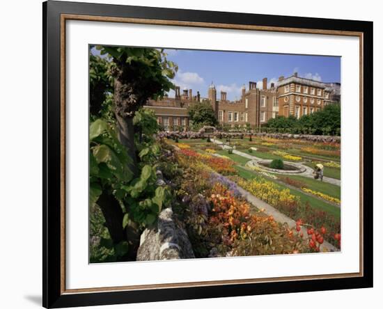 Sunken Gardens, Hampton Court Palace, Greater London, England, United Kingdom-Walter Rawlings-Framed Photographic Print