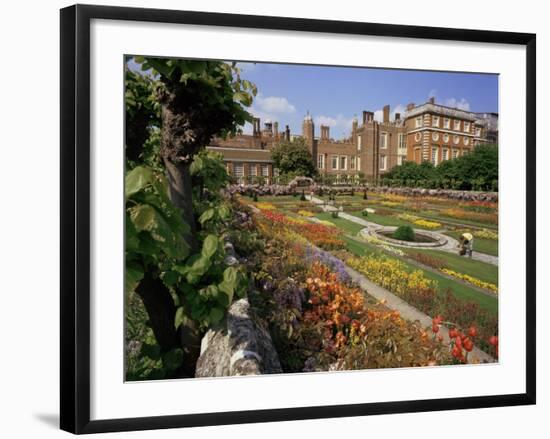 Sunken Gardens, Hampton Court Palace, Greater London, England, United Kingdom-Walter Rawlings-Framed Photographic Print