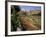 Sunken Gardens, Hampton Court Palace, Greater London, England, United Kingdom-Walter Rawlings-Framed Photographic Print