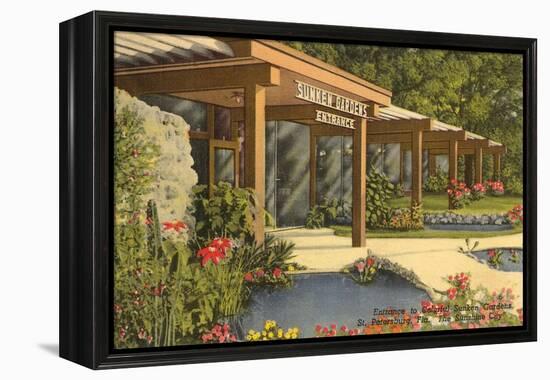 Sunken Gardens, St. Petersburg, Florida-null-Framed Stretched Canvas