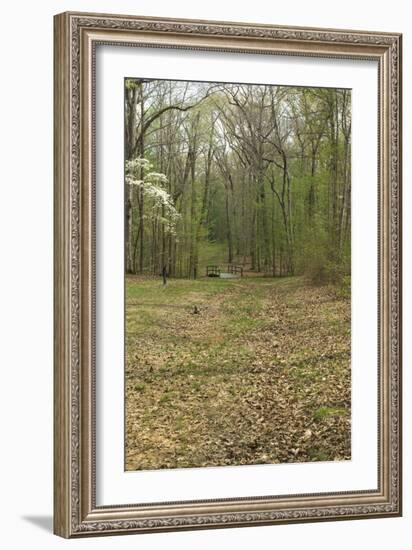 Sunken Road, Scene of Fighting in the Hornet's Nest on the Battlefield at Shiloh, Tennessee-null-Framed Photographic Print