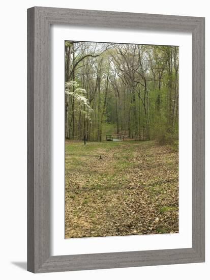 Sunken Road, Scene of Fighting in the Hornet's Nest on the Battlefield at Shiloh, Tennessee-null-Framed Photographic Print