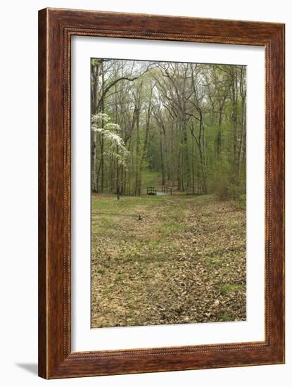 Sunken Road, Scene of Fighting in the Hornet's Nest on the Battlefield at Shiloh, Tennessee-null-Framed Photographic Print