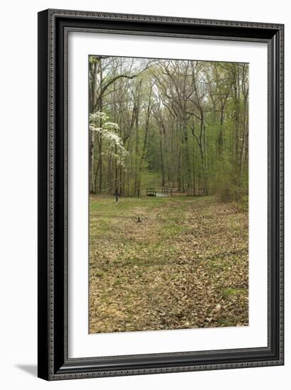 Sunken Road, Scene of Fighting in the Hornet's Nest on the Battlefield at Shiloh, Tennessee-null-Framed Photographic Print