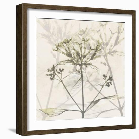 Sunkissed Floral-Albert Koetsier-Framed Photographic Print