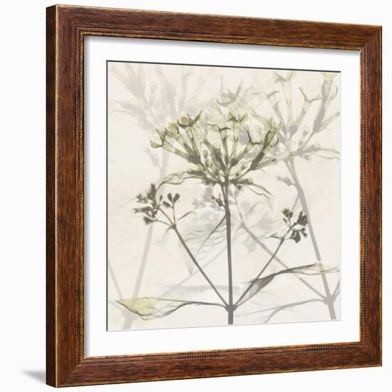 Sunkissed Floral-Albert Koetsier-Framed Photographic Print