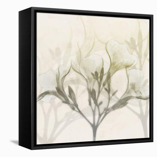 Sunkissed Oleander-Albert Koetsier-Framed Stretched Canvas