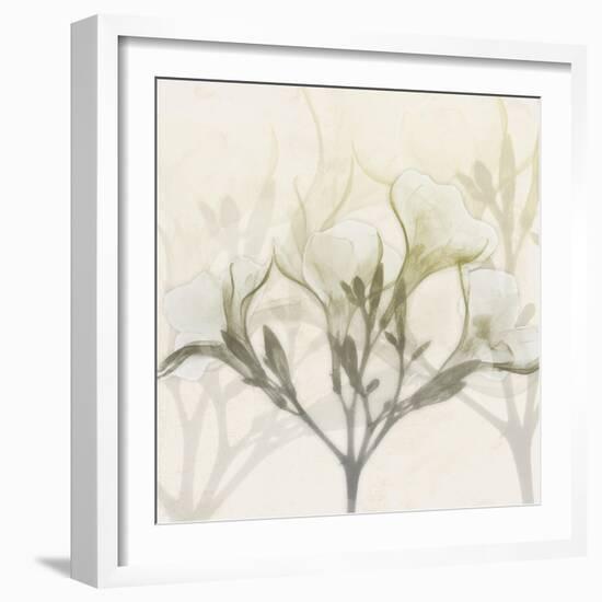 Sunkissed Oleander-Albert Koetsier-Framed Photographic Print