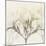 Sunkissed Oleander-Albert Koetsier-Mounted Photographic Print
