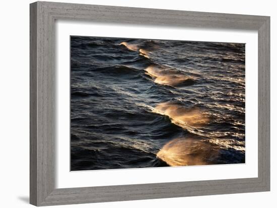 Sunkissed Waves-Mareike Böhmer-Framed Giclee Print