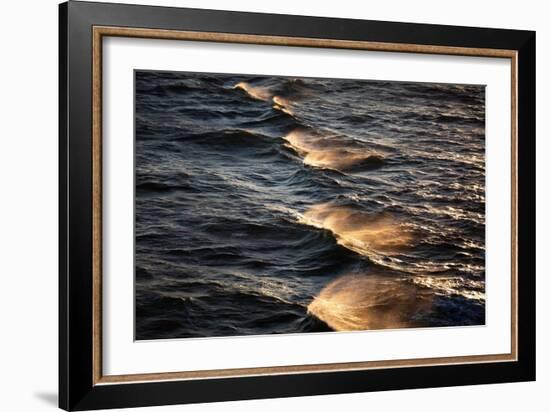 Sunkissed Waves-Mareike Böhmer-Framed Giclee Print