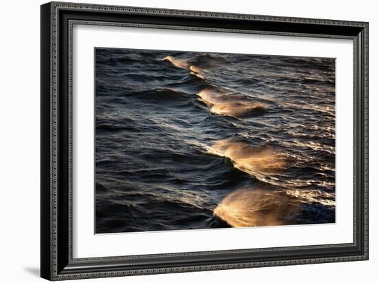 Sunkissed Waves-Mareike Böhmer-Framed Giclee Print