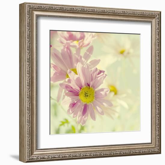 Sunkist Morning-Judy Stalus-Framed Art Print