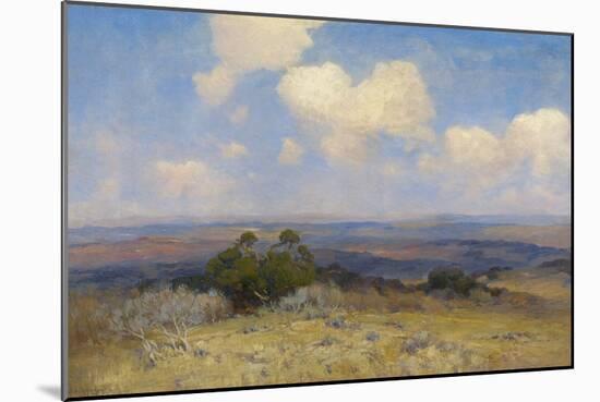 Sunlight and Shadow, 1910 (Oil on Canvas)-Julian Onderdonk-Mounted Giclee Print