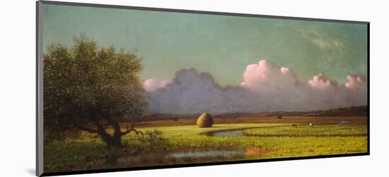 Sunlight and Shadow: The Newbury Marshes, c. 1871/1875-Martin Johnson Heade-Mounted Art Print