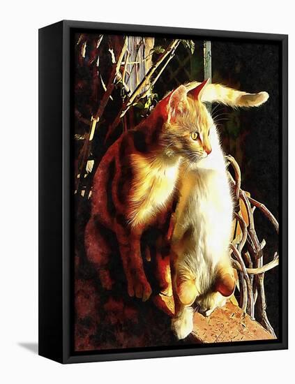 Sunlight Bathing-Dorothy Berry-Lound-Framed Premier Image Canvas