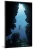 Sunlight Descends Underwater and into a Crevice on Palau's Barrier Reef-Stocktrek Images-Mounted Photographic Print