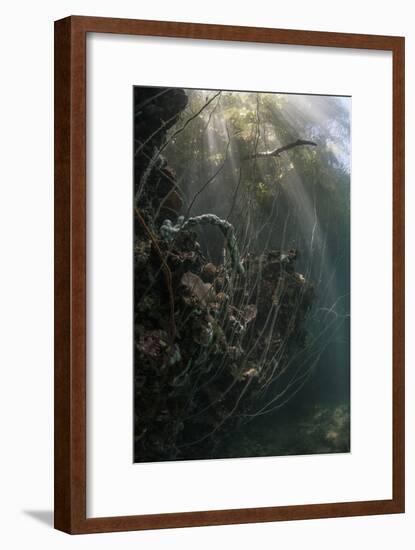 Sunlight Descends Underwater and over a Set of Whip Corals-Stocktrek Images-Framed Premium Photographic Print