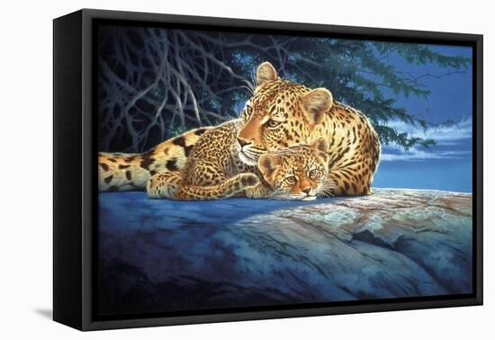 Sunlight Filtering-Joh Naito-Framed Premier Image Canvas