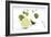 Sunlight Harvest - Zest-James Guilliam-Framed Giclee Print