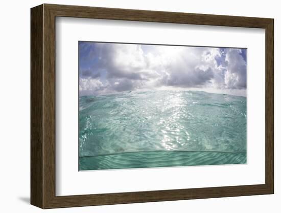 Sunlight Illuminates the Turquoise Water in Turneffe Atoll, Belize-Stocktrek Images-Framed Photographic Print