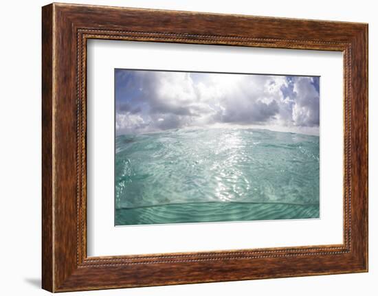 Sunlight Illuminates the Turquoise Water in Turneffe Atoll, Belize-Stocktrek Images-Framed Photographic Print