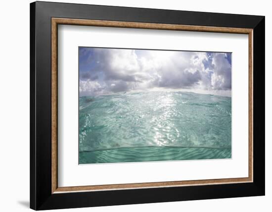 Sunlight Illuminates the Turquoise Water in Turneffe Atoll, Belize-Stocktrek Images-Framed Photographic Print