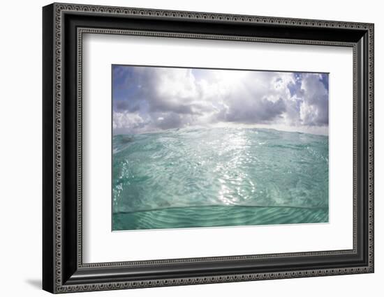 Sunlight Illuminates the Turquoise Water in Turneffe Atoll, Belize-Stocktrek Images-Framed Photographic Print